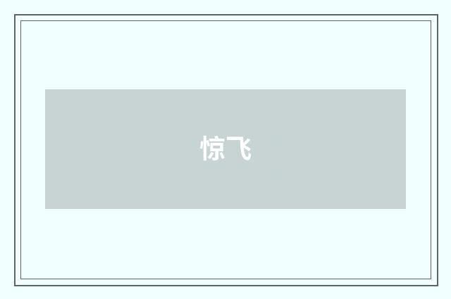 惊飞