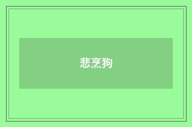 悲烹狗