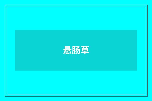 悬肠草