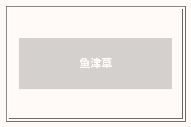 鱼津草