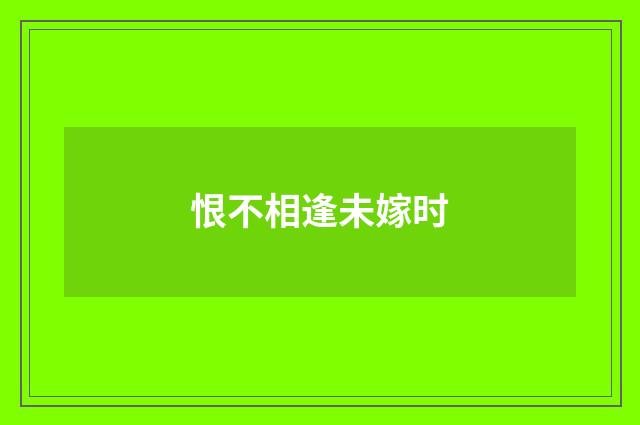 恨不相逢未嫁时