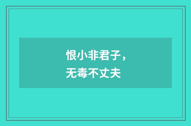 恨小非君子，无毒不丈夫
