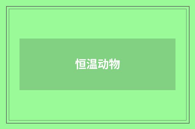 恒温动物