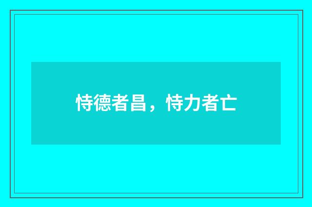 恃德者昌，恃力者亡