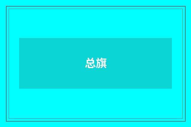 总旗