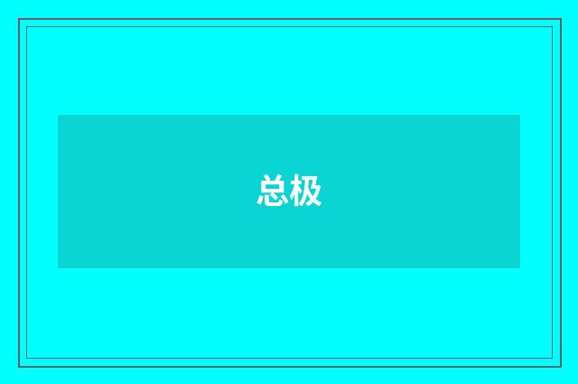总极