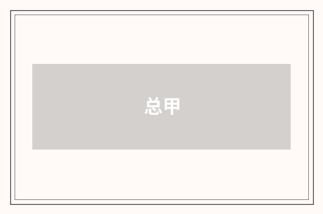 总甲