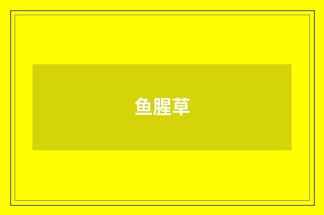鱼腥草