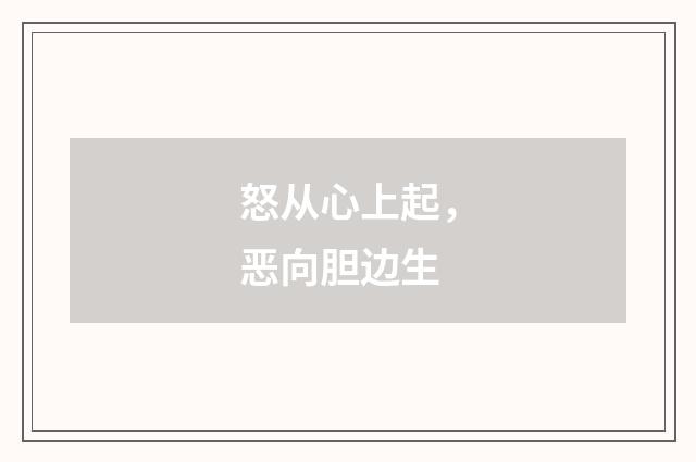 怒从心上起，恶向胆边生