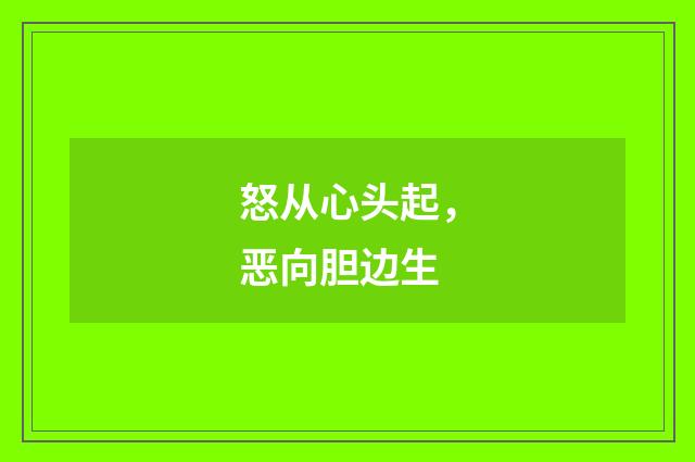 怒从心头起，恶向胆边生