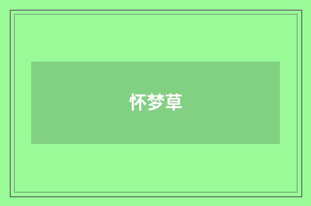 怀梦草