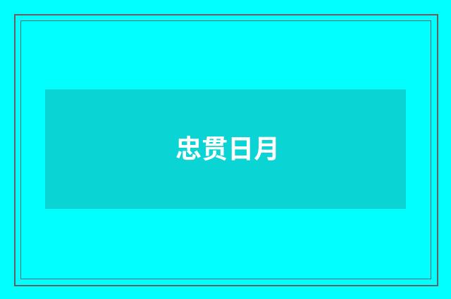 忠贯日月