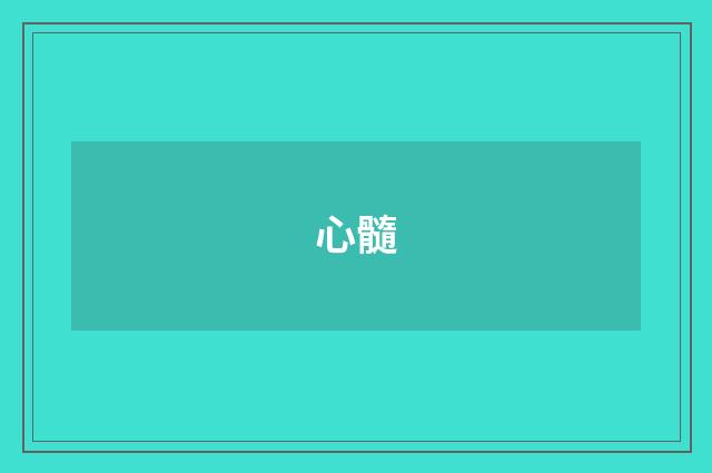 心髓