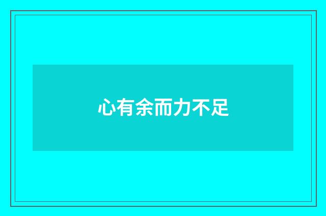 心有余而力不足
