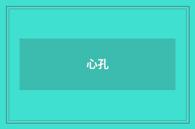 心孔