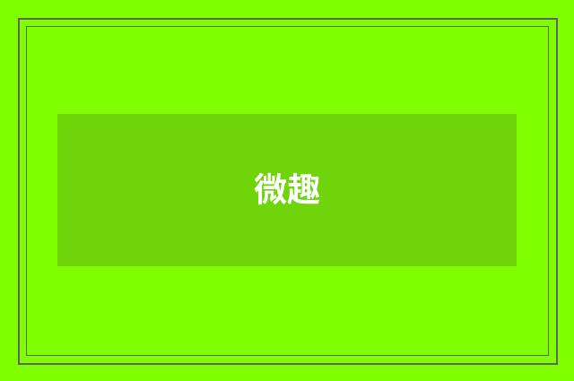 微趣