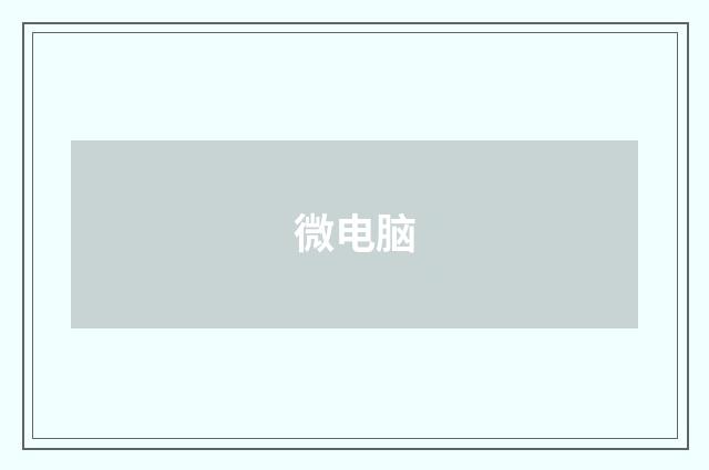 微电脑