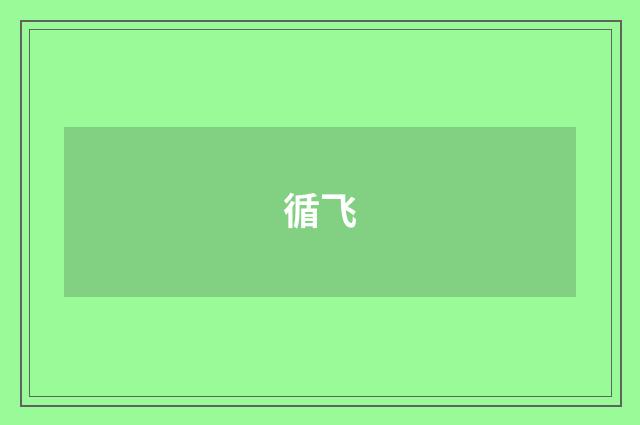循飞