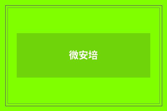 微安培