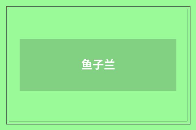 鱼子兰