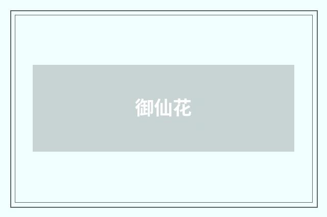 御仙花