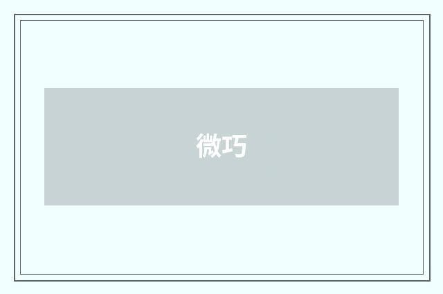 微巧