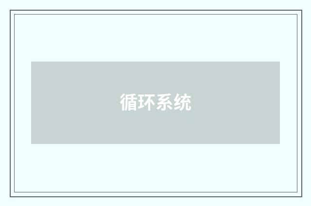 循环系统