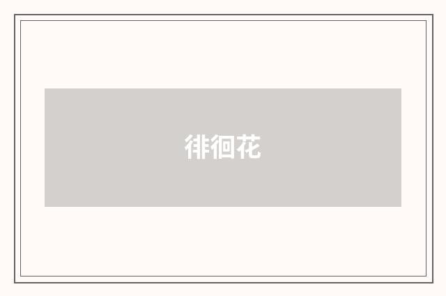 徘徊花