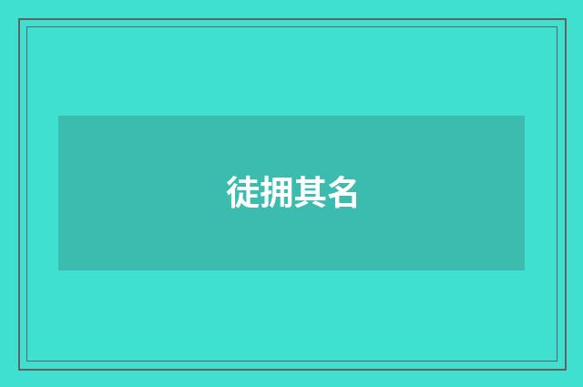 徒拥其名