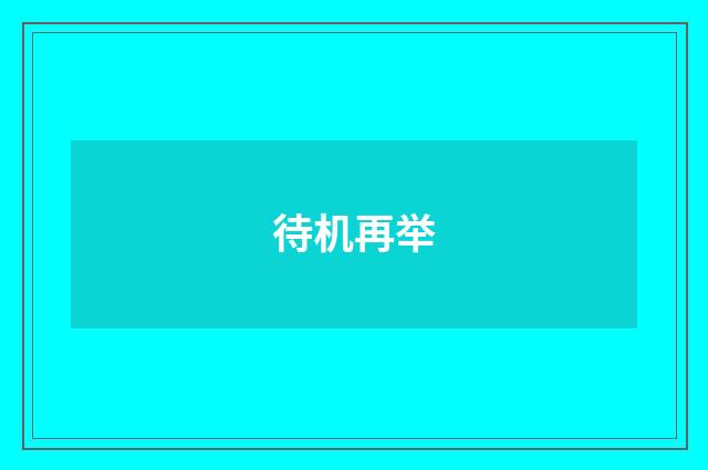 待机再举