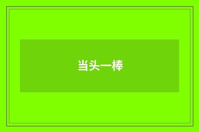 当头一棒