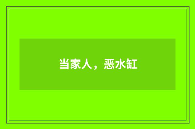 当家人，恶水缸