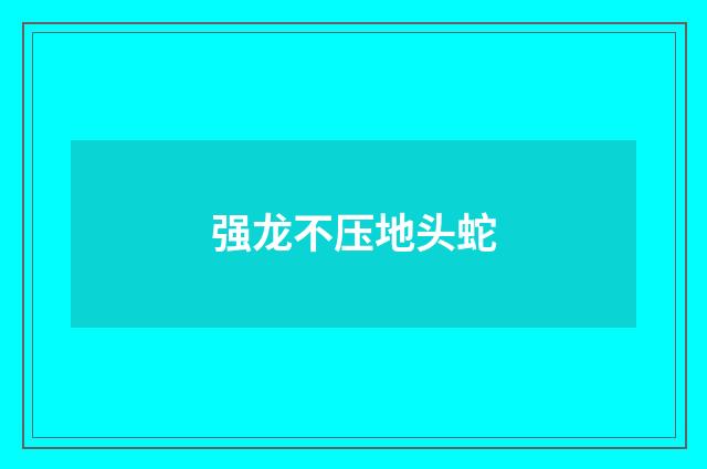 强龙不压地头蛇