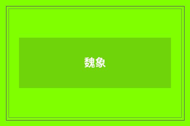 魏象