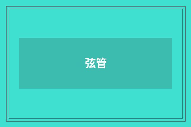 弦管