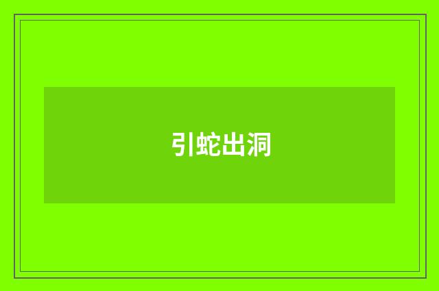 引蛇出洞