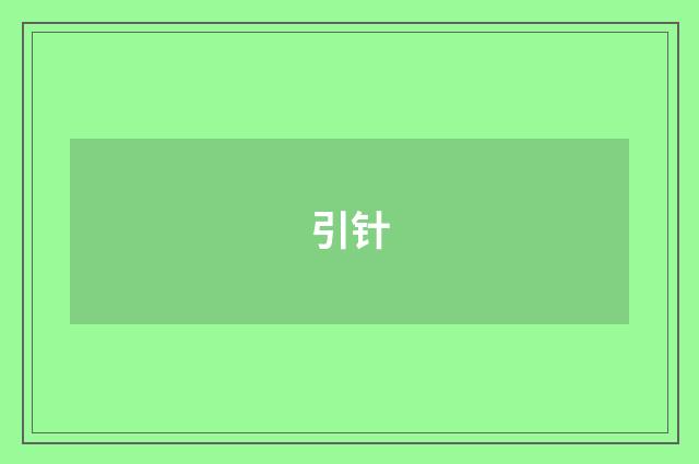 引针