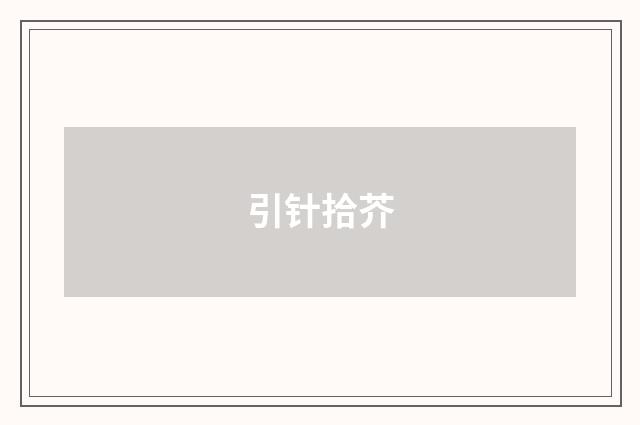 引针拾芥