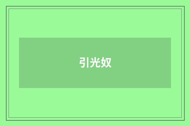 引光奴
