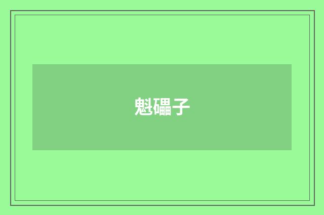 魁礧子