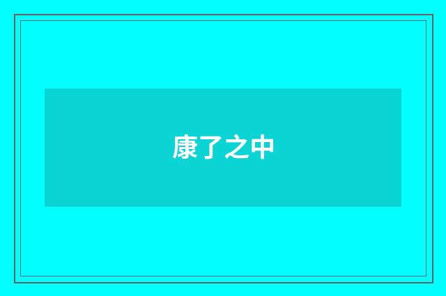 康了之中