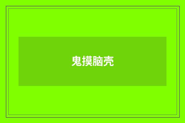 鬼摸脑壳