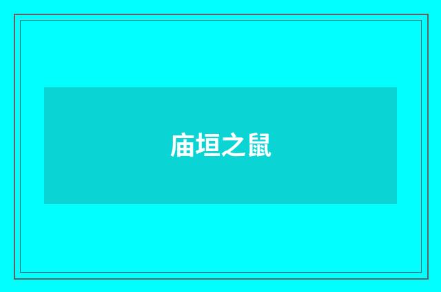 庙垣之鼠