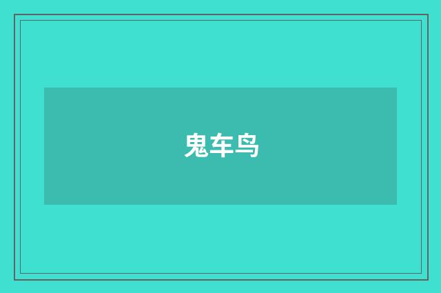 鬼车鸟