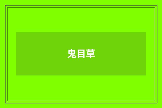 鬼目草
