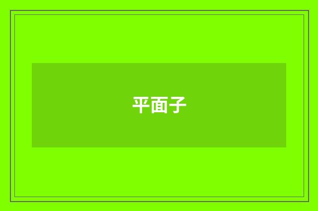 平面子