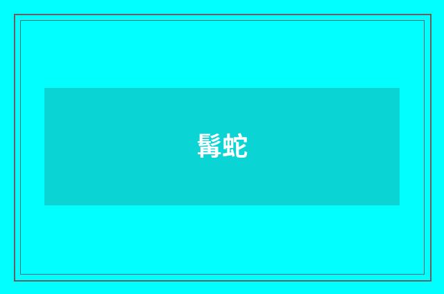 髯蛇