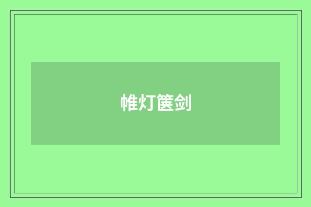帷灯箧剑