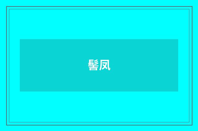 髻凤