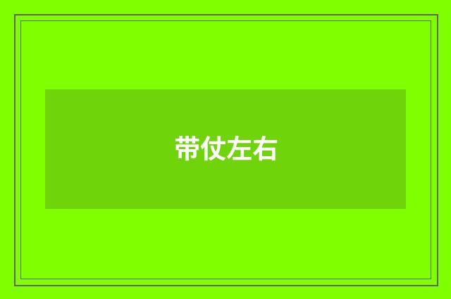 带仗左右